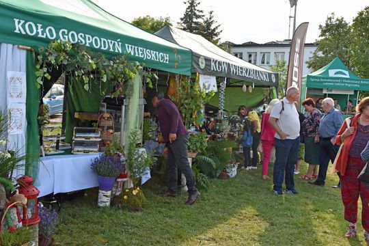 Jarmark Leśny w Wyrykach 2025