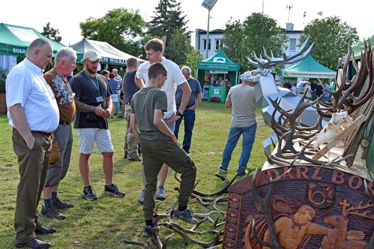 Jarmark Leśny w Wyrykach 2025