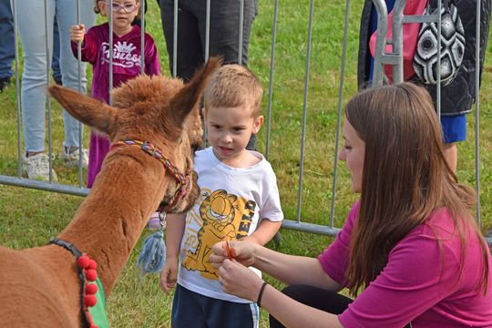 Jarmark Leśny w Wyrykach 2025