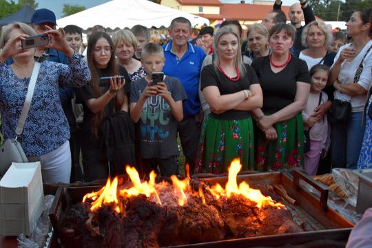 Jarmark Leśny w Wyrykach 2025