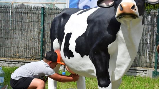 Gm. Chełm. Tłumy mieszkańców na Dniach Okszowa Cz. III [GALERIA ZDJĘĆ]