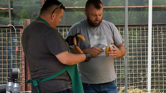 Gm. Chełm. Tłumy mieszkańców na Dniach Okszowa Cz. III [GALERIA ZDJĘĆ]