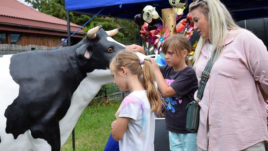 Gm. Chełm. Tłumy mieszkańców na Dniach Okszowa Cz. III [GALERIA ZDJĘĆ]