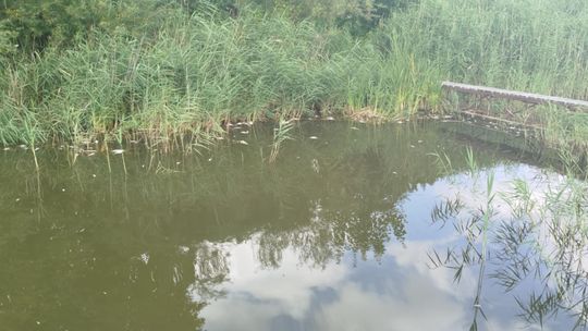 Interwencja radnego Marcina Łopackiego na rzece Uherce i na zbiorniku w Stańkowie [GALERIA ZDJĘĆ]