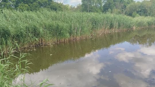 Interwencja radnego Marcina Łopackiego na rzece Uherce i na zbiorniku w Stańkowie [GALERIA ZDJĘĆ]