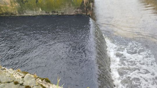 Interwencja radnego Marcina Łopackiego na rzece Uherce i na zbiorniku w Stańkowie [GALERIA ZDJĘĆ]