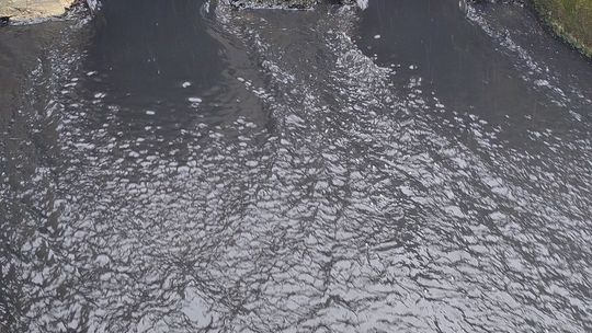 Interwencja radnego Marcina Łopackiego na rzece Uherce i na zbiorniku w Stańkowie [GALERIA ZDJĘĆ]