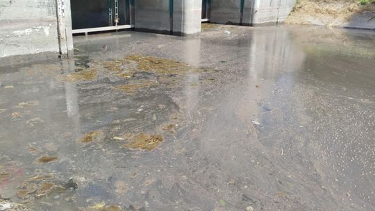 Interwencja radnego Marcina Łopackiego na rzece Uherce i na zbiorniku w Stańkowie [GALERIA ZDJĘĆ]