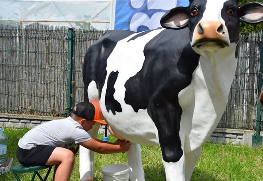 Gm. Chełm. Tłumy mieszkańców na Dniach Okszowa Cz. III [GALERIA ZDJĘĆ]