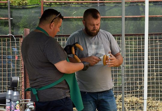 Gm. Chełm. Tłumy mieszkańców na Dniach Okszowa Cz. III [GALERIA ZDJĘĆ]