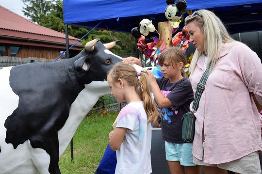 Gm. Chełm. Tłumy mieszkańców na Dniach Okszowa Cz. III [GALERIA ZDJĘĆ]