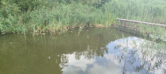 Interwencja radnego Marcina Łopackiego na rzece Uherce i na zbiorniku w Stańkowie [GALERIA ZDJĘĆ]