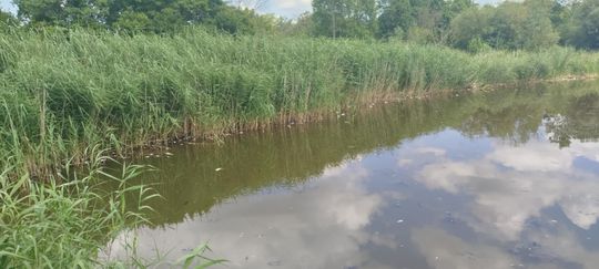 Interwencja radnego Marcina Łopackiego na rzece Uherce i na zbiorniku w Stańkowie [GALERIA ZDJĘĆ]