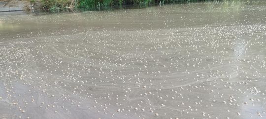 Interwencja radnego Marcina Łopackiego na rzece Uherce i na zbiorniku w Stańkowie [GALERIA ZDJĘĆ]