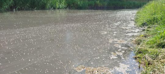 Interwencja radnego Marcina Łopackiego na rzece Uherce i na zbiorniku w Stańkowie [GALERIA ZDJĘĆ]