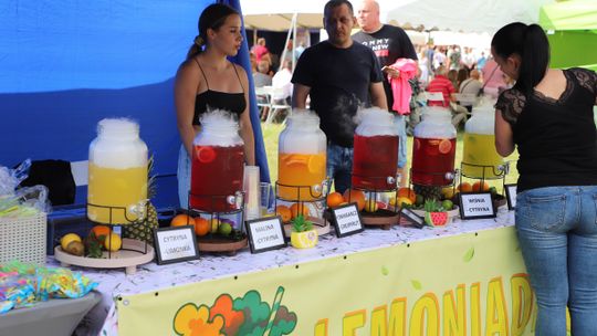 Dzień Pszczelarza w Hańsku 2025