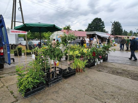 Gm. Chełm. Na Gminnej pohandlowali tylko raz. Znowu przeniesiono targowisko dla rolników [ZDJĘCIA]