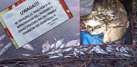 Interwencja radnego Marcina Łopackiego na rzece Uherce i na zbiorniku w Stańkowie [GALERIA ZDJĘĆ]