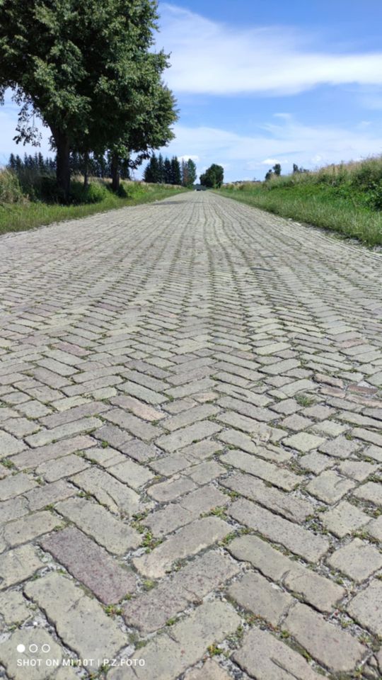 Gm. Izbica. Wojciech Werus opowiada o fabryce, drogach i śladach przeszłości. Miasteczko z historycznym klimatem [ZDJĘCIA]