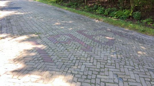 Gm. Izbica. Wojciech Werus opowiada o fabryce, drogach i śladach przeszłości. Miasteczko z historycznym klimatem [ZDJĘCIA]