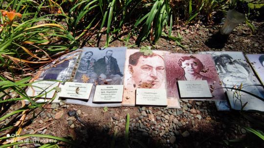 Gm. Izbica. Wojciech Werus opowiada o fabryce, drogach i śladach przeszłości. Miasteczko z historycznym klimatem [ZDJĘCIA]