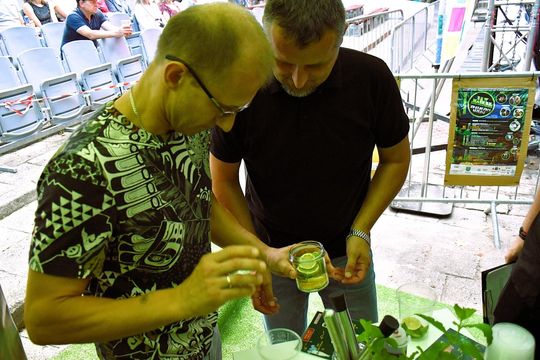 ZEW NATURY. Festiwal Sztuk Naturalnych we Włodawie 2025 [GALERIA ZDJĘĆ]