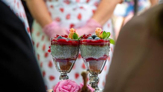 ZEW NATURY. Festiwal Sztuk Naturalnych we Włodawie 2025 - Konkurs kulinarny, Dr Gree, Nicponie i DJ Positivo [GALERIA ZDJĘĆ]