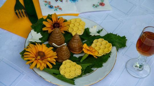 ZEW NATURY. Festiwal Sztuk Naturalnych we Włodawie 2025 - Konkurs kulinarny, Dr Gree, Nicponie i DJ Positivo [GALERIA ZDJĘĆ]