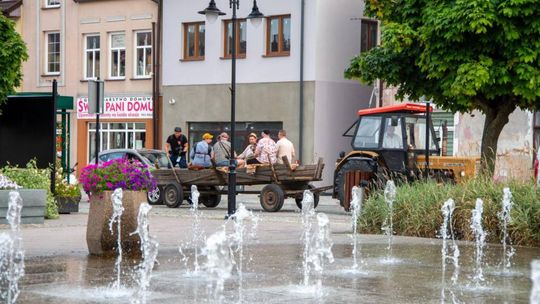 ZEW NATURY. Festiwal Sztuk Naturalnych we Włodawie 2025 - Konkurs kulinarny, Dr Gree, Nicponie i DJ Positivo [GALERIA ZDJĘĆ]