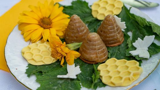 ZEW NATURY. Festiwal Sztuk Naturalnych we Włodawie 2025 - Konkurs kulinarny, Dr Gree, Nicponie i DJ Positivo [GALERIA ZDJĘĆ]