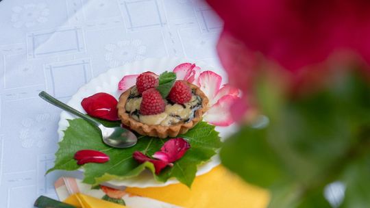 ZEW NATURY. Festiwal Sztuk Naturalnych we Włodawie 2025 - Konkurs kulinarny, Dr Gree, Nicponie i DJ Positivo [GALERIA ZDJĘĆ]