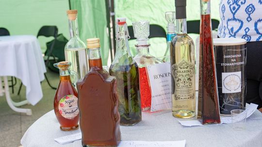 ZEW NATURY. Festiwal Sztuk Naturalnych we Włodawie 2025 - Konkurs kulinarny, Dr Gree, Nicponie i DJ Positivo [GALERIA ZDJĘĆ]