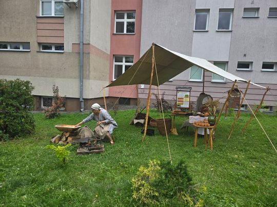 Chełm.  Piknik historyczny z Bolesławem Chrobrym "Pierwszy w koronie” [GALERIA ZDJĘĆ]