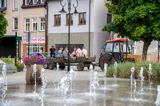 ZEW NATURY. Festiwal Sztuk Naturalnych we Włodawie 2025 - Konkurs kulinarny, Dr Gree, Nicponie i DJ Positivo [GALERIA ZDJĘĆ]