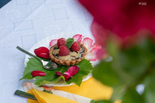 ZEW NATURY. Festiwal Sztuk Naturalnych we Włodawie 2025 - Konkurs kulinarny, Dr Gree, Nicponie i DJ Positivo [GALERIA ZDJĘĆ]