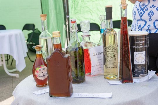 ZEW NATURY. Festiwal Sztuk Naturalnych we Włodawie 2025 - Konkurs kulinarny, Dr Gree, Nicponie i DJ Positivo [GALERIA ZDJĘĆ]