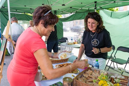 ZEW NATURY. Festiwal Sztuk Naturalnych we Włodawie 2025 - Konkurs kulinarny, Dr Gree, Nicponie i DJ Positivo [GALERIA ZDJĘĆ]