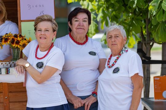 ZEW NATURY. Festiwal Sztuk Naturalnych we Włodawie 2025 - Konkurs kulinarny, Dr Gree, Nicponie i DJ Positivo [GALERIA ZDJĘĆ]