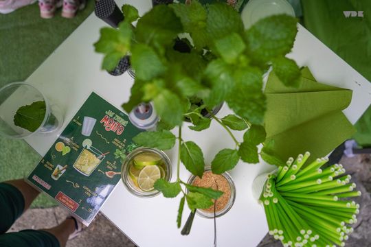 ZEW NATURY. Festiwal Sztuk Naturalnych we Włodawie 2025 - STRIX, NeoKlez, BRAThANKI [GALERIA ZDJĘĆ]