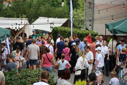 Chełm. Piknik historyczny z Bolesławem Chrobrym "Pierwszy w koronie” [GALERIA ZDJĘĆ]