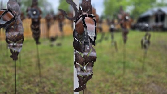 Gm. Stary Brus. Jarmark Holeński – Dziś Święto Tradycji i Rękodzieła [GALERIA ZDJĘĆ]