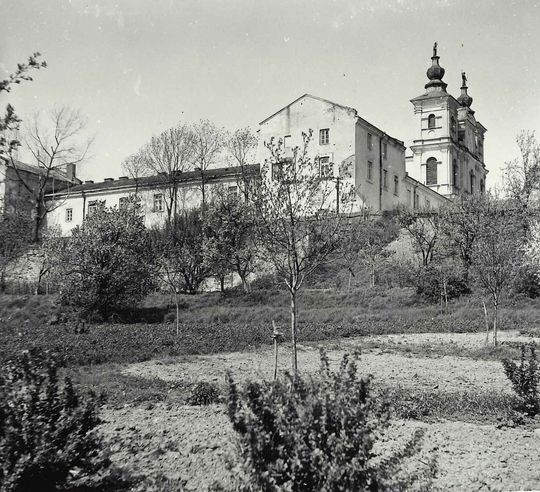 Krasnystaw zachwyca historią, urokiem i wydarzeniami [GALERIA ZDJĘĆ] 