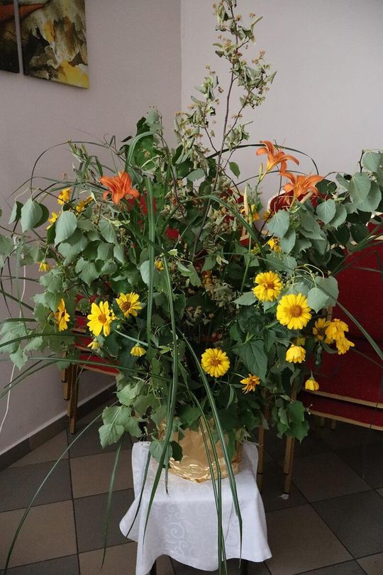 Gm. Białopole. Święto kwitnącej lipy [GALERIA ZDJĘĆ]