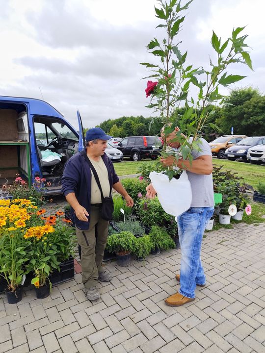 Gm. Chełm. To był naprawdę udany, targowy wtorek przy zalewie Żółtańce [ZDJĘCIA]