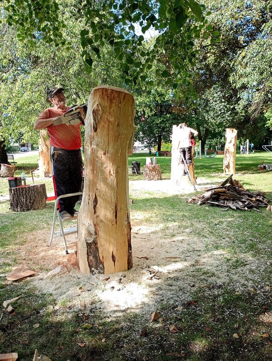 Gmina Dorohusk. Rozpoczął się VIII Plener rzeźbiarsko-malarski "Kultura i Sztuka Nad Bugiem" [GALERIA ZDJĘĆ]