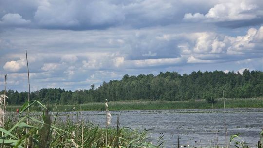 Tragiczny finał poszukiwań. Płetwonurkowie znaleźli w jeziorze Łukie ciało zaginionego mężczyzny [ZDJĘCIA]