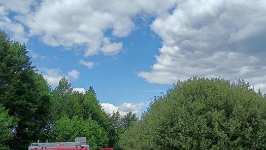 Tragiczny finał poszukiwań. Płetwonurkowie znaleźli w jeziorze Łukie ciało zaginionego mężczyzny [ZDJĘCIA]