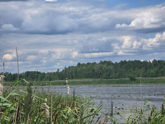 Tragiczny finał poszukiwań. Płetwonurkowie znaleźli w jeziorze Łukie ciało zaginionego mężczyzny [ZDJĘCIA]