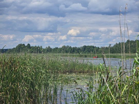 Tragiczny finał poszukiwań. Płetwonurkowie znaleźli w jeziorze Łukie ciało zaginionego mężczyzny [ZDJĘCIA]