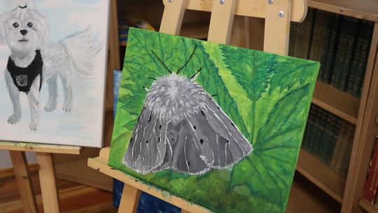 Gm. Dorohusk. Wyjątkowy wernisaż VIII Pleneru Rzeźbiarsko-Malarskiego [GALERIA ZDJĘĆ]